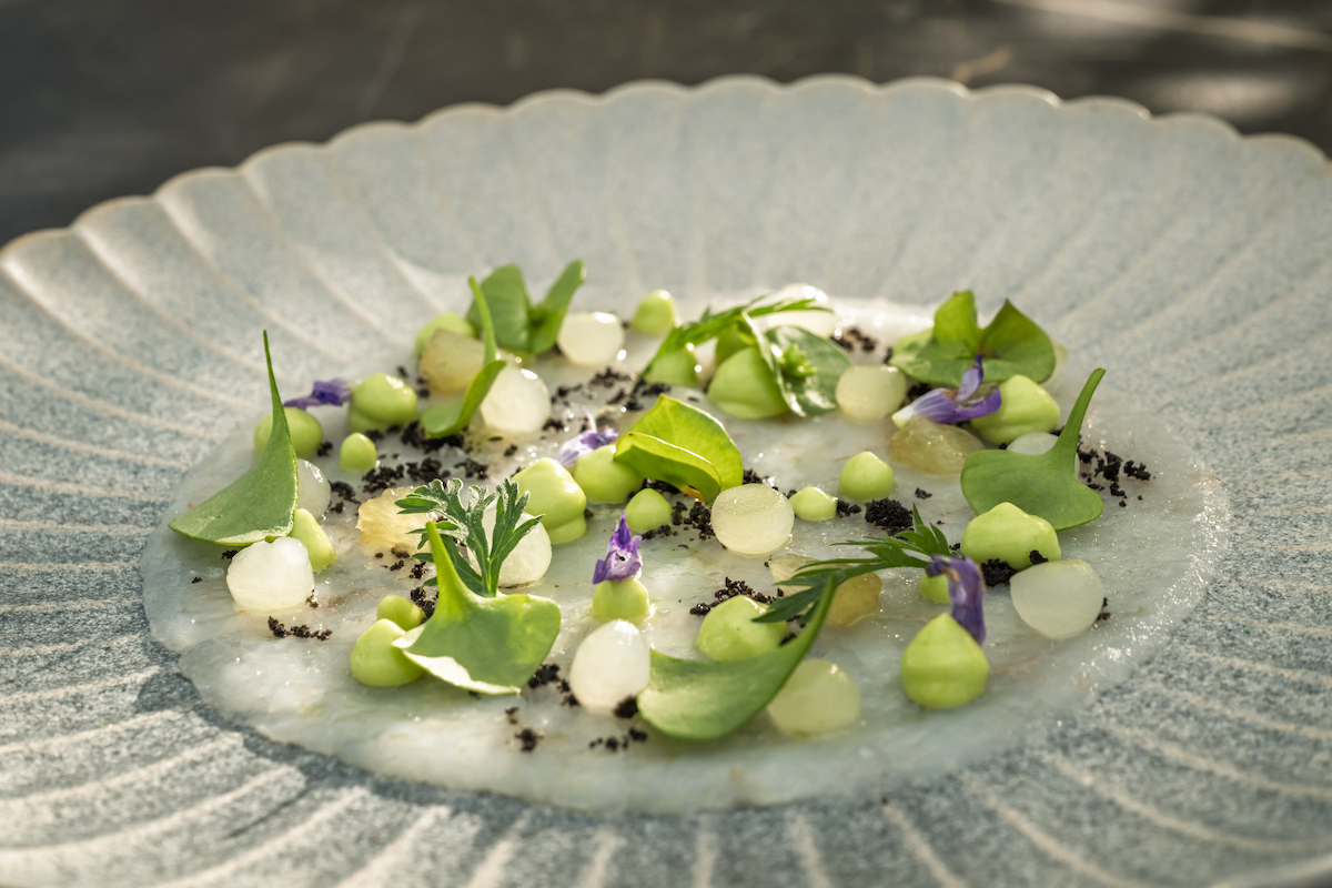 Elegante Vorspeise von Chef Marin Pleše