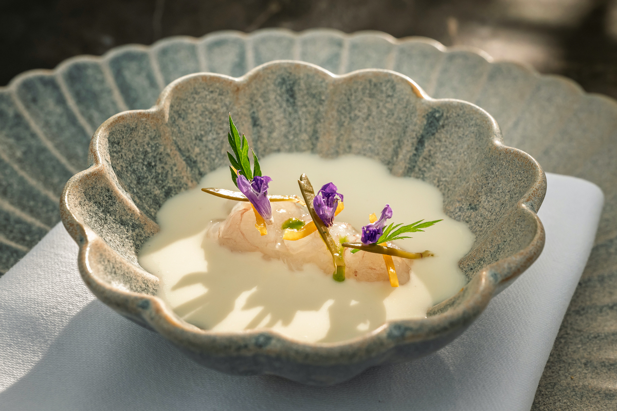 Kvarner Scampi in feinem Schaum angerichtet