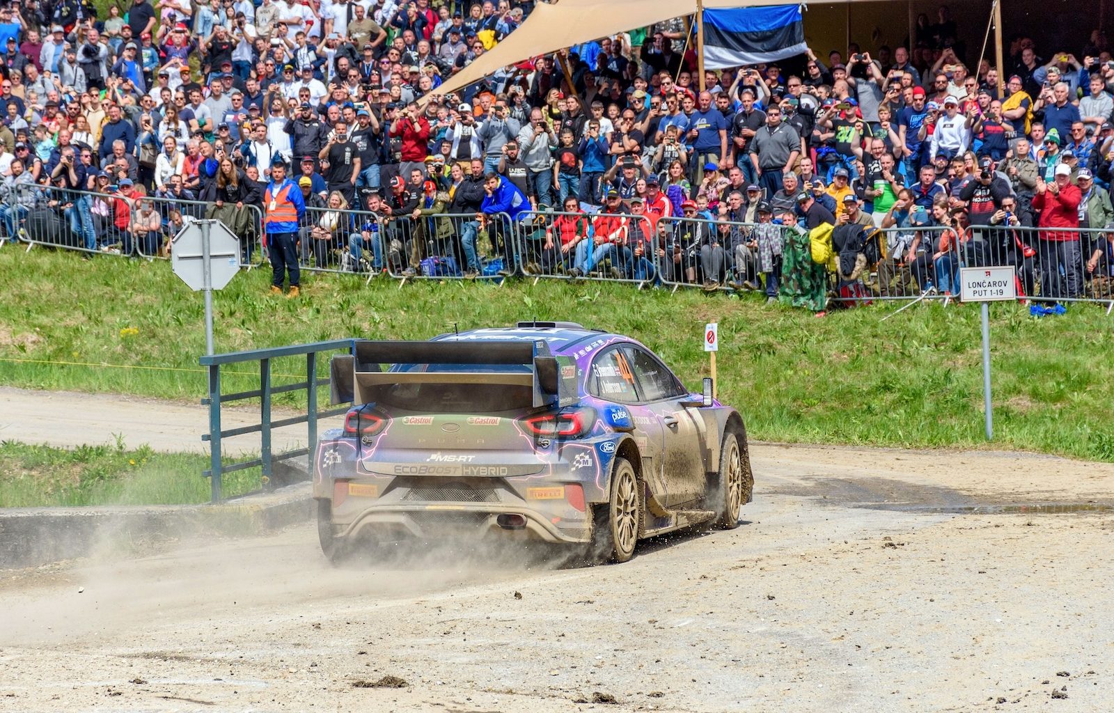 WRC Rallye im Kvarner - Urlaub Krk 2026