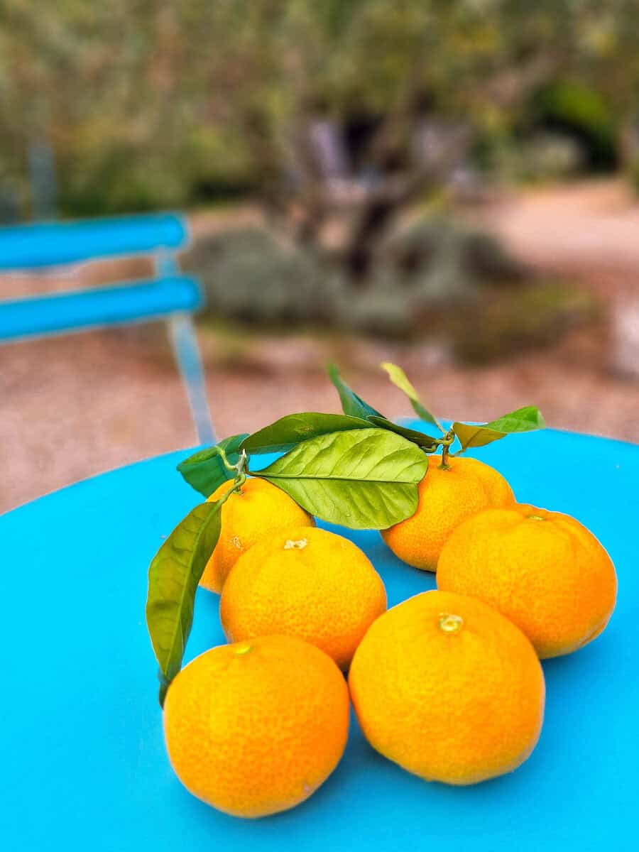 Garten Detail